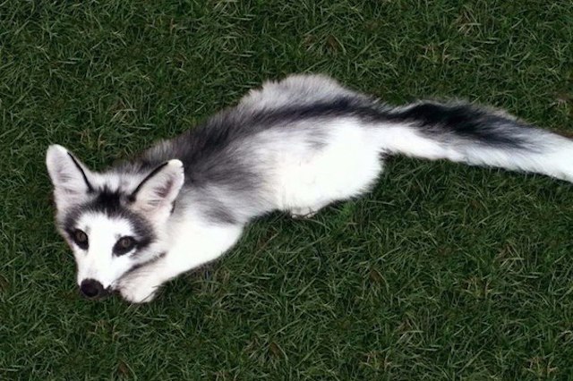 Моменты, запечатлённые на фото и просто позитив 2