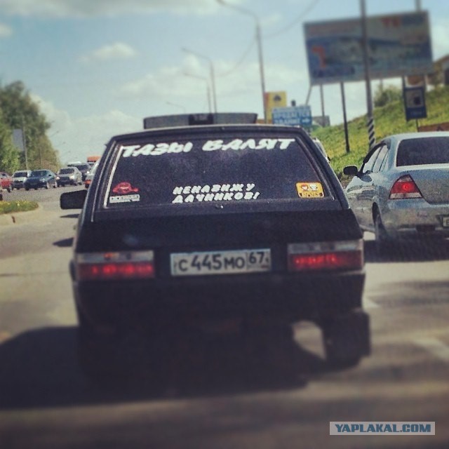 Дачники, включите мозг!