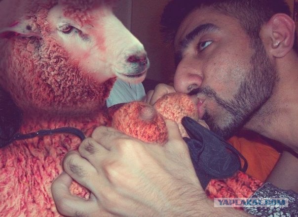 Задержан Тимур, выложивший голую студентку в Интернет