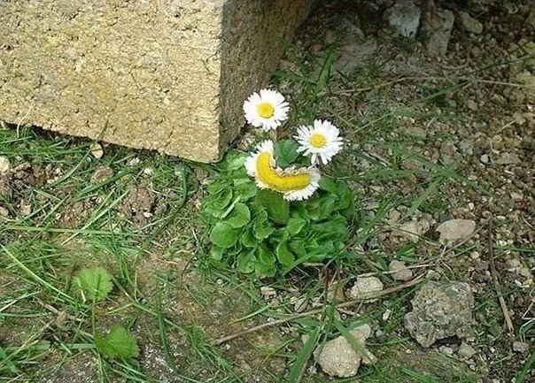 Подборка интересных и веселых картинок