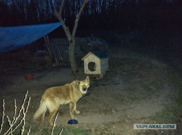 Строительство гаража