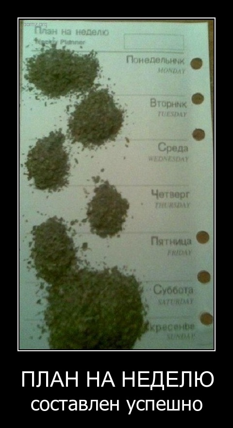 Подборка интересных и веселых картинок