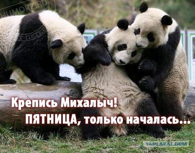 Пятничный алкотрэш и немного чернухи