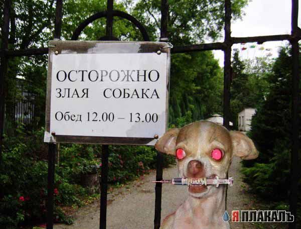 Осторожно, злая собака
