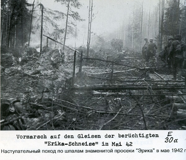 Волховский фронт. 1942. Взгляд с той стороны.