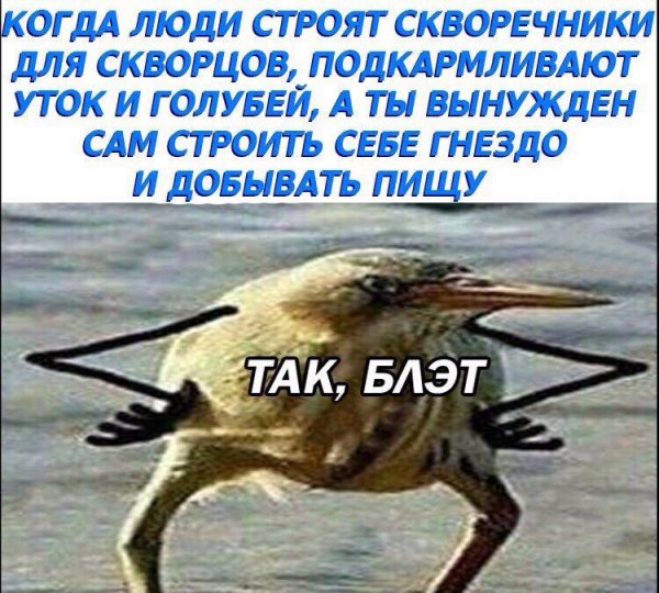 Приколы в стиле "регресс"