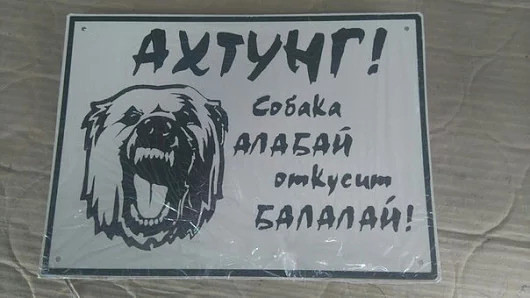 Подборка интересных и веселых картинок