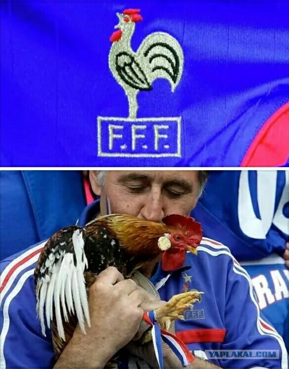 Журнал школьный деградант