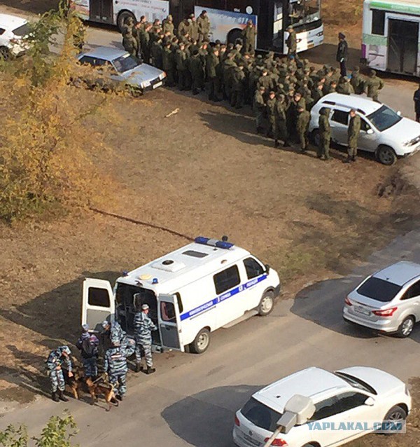 К поискам пропавших девушек в Волжском подключили солдат