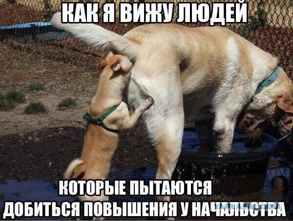 Собянин: производительность труда в Москве в 5-7 раз выше, чем на селе