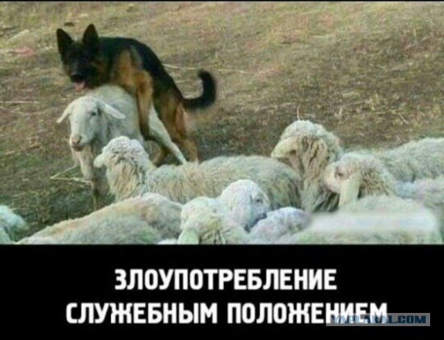 На зарядку позитивом становись!