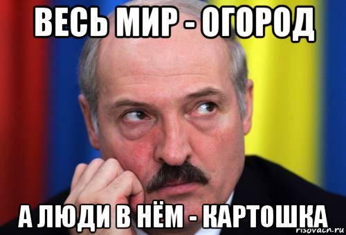 На президентском поле: Александр Лукашенко собрал 60 тонн картофеля