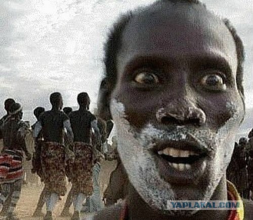 Происхождение интернет мемов которые мы все так любим