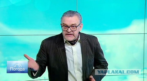 В МВД заявили, что раскритиковавшего Ирину Волк «участкового» не существует.