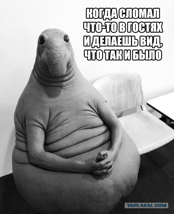 Картинок разных