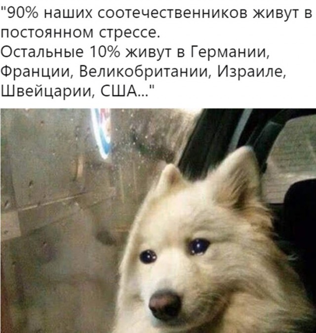Достойная зарплата в России оказалась ниже порога бедности европейцев