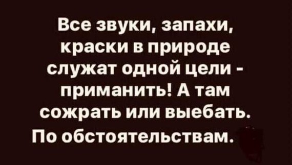 Настраиваем мониторы поярче