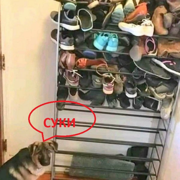 Приколы в стиле "регресс"