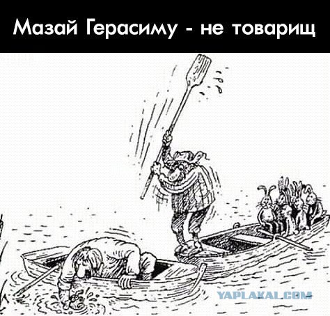 Ииииии... Премия Дарвина 2019 достается