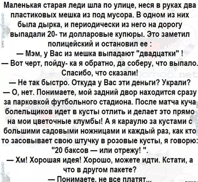 13576690.jpg