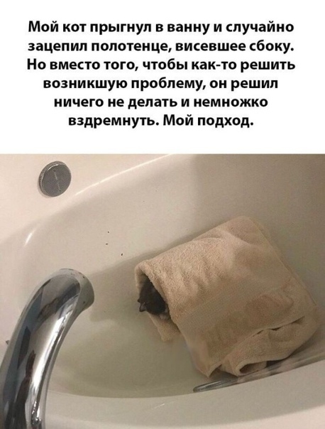 Бредзона 26.10.19
