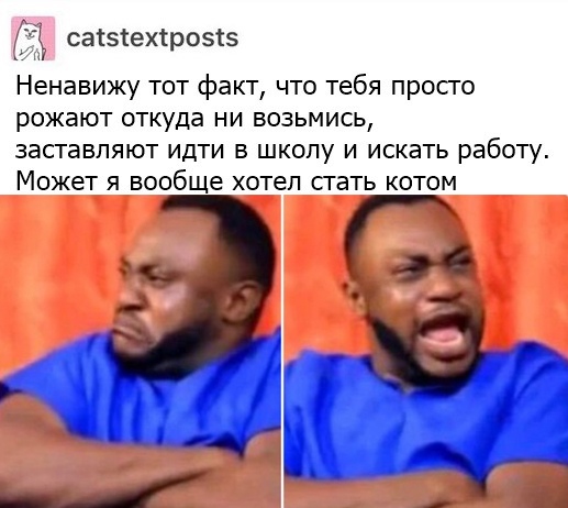 Картинки с надписями, истории и анекдоты 02.11.19