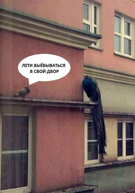 Бредзона 14.11.19