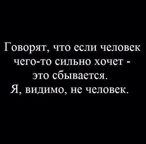 Немного картинок для настроения 19.11.19