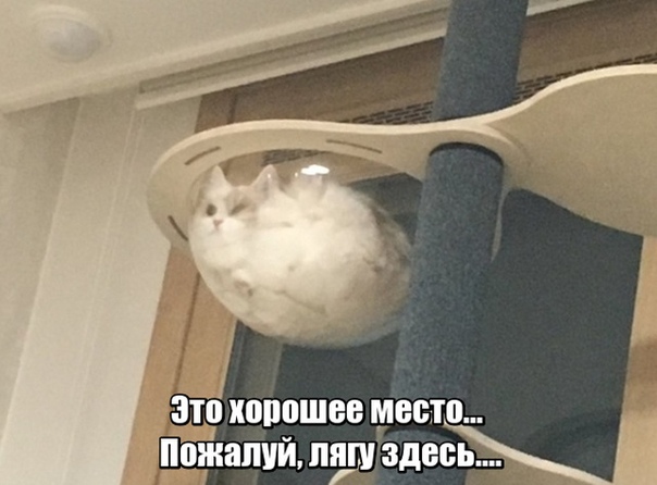 Чуток картинок!
