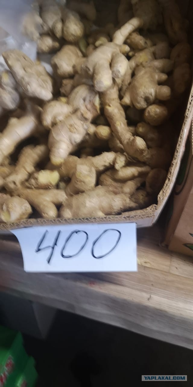 Когда жертва ЕГЭ начинает считать
