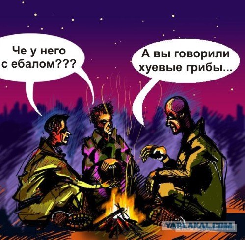 Беседа - добавим фразу!