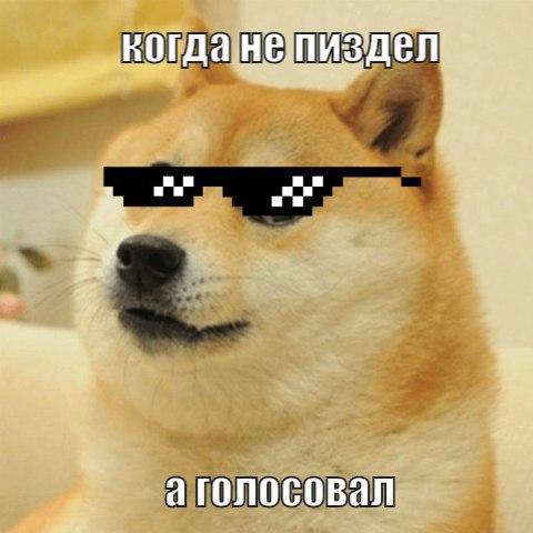 Голосуй или…