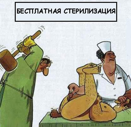 Расслабляем ум перед понедельником