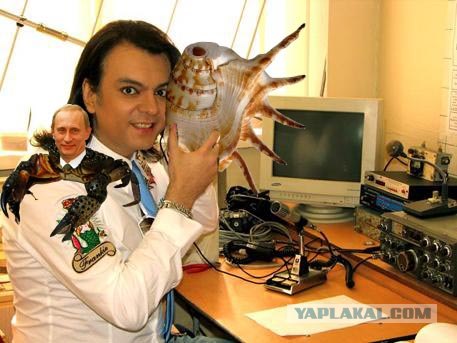 Радиолюбитель