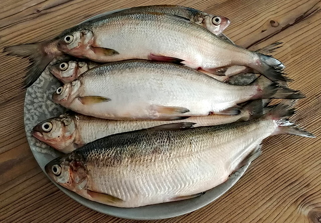 #ЯПовар. Минтай под овощным маринадом с майонезом