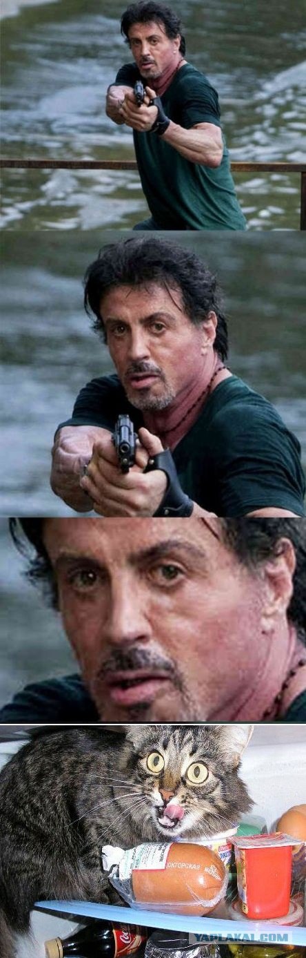 Фотожаба: Куда так торопится Слай?