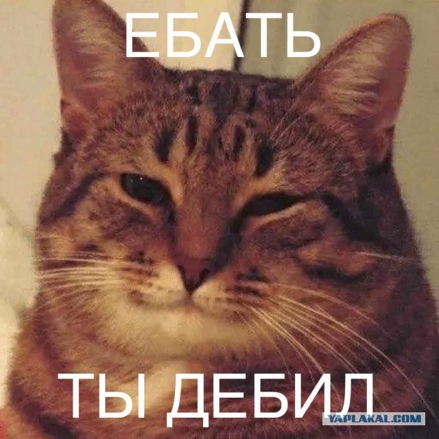 Откровения любовницы