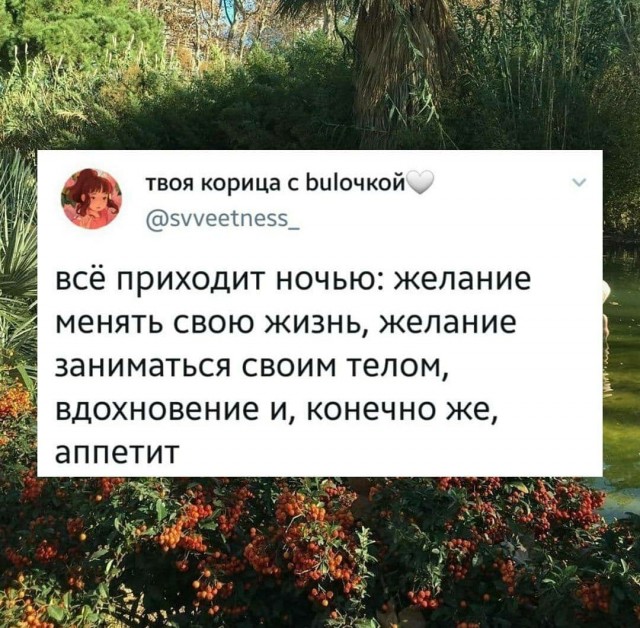 Бредзона 28.01.2021
