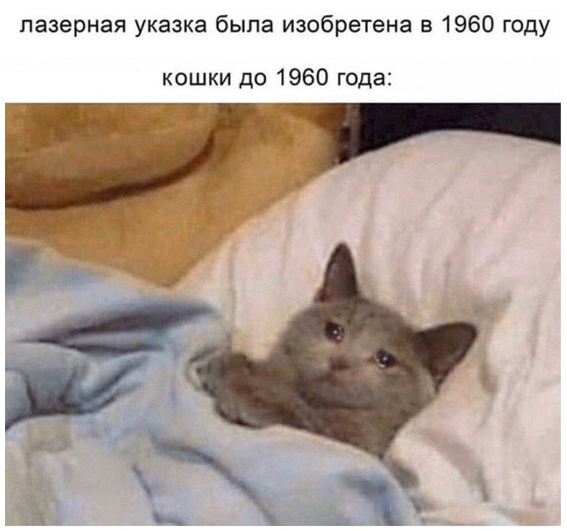Вечерний выпуск
