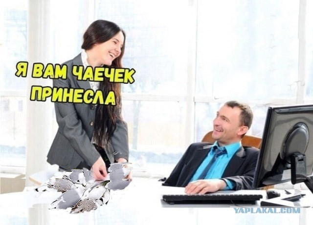 Аморальная деградация