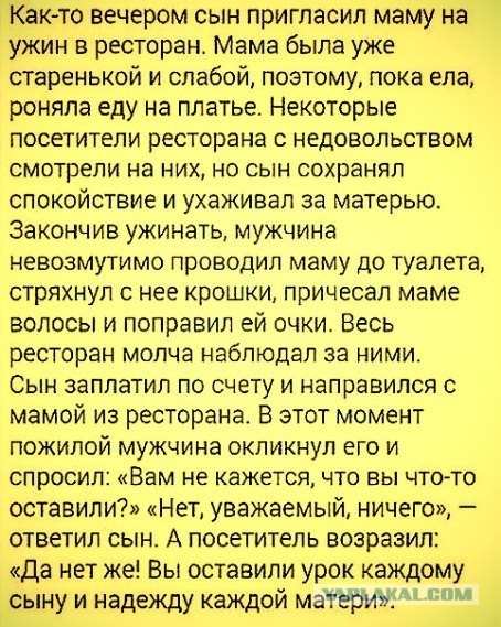 Весёлый полтишок 16.04