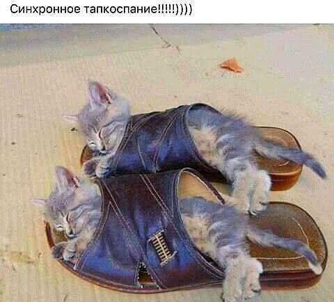Картинки с надписями и всякие жизненные фразы
