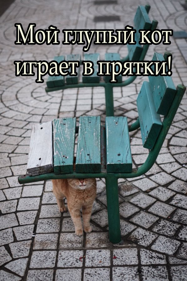 Маленькая подборка 05.09