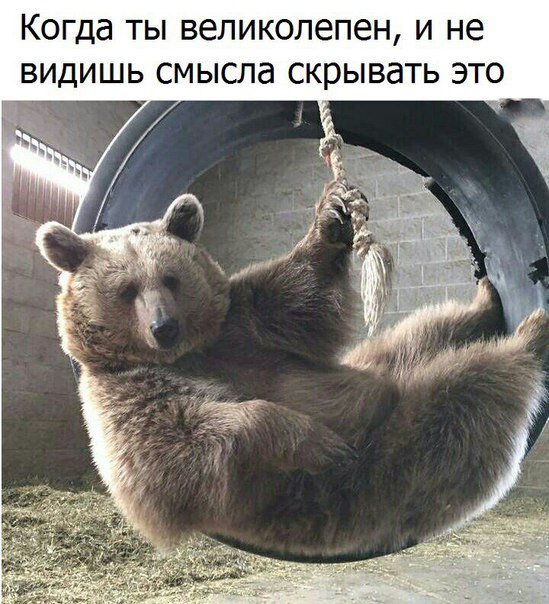 Не падайте духом