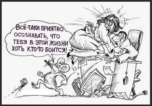 Поймать мыша не удалось