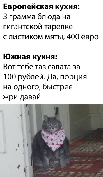 "Купил коту игрушку" и другие картинки