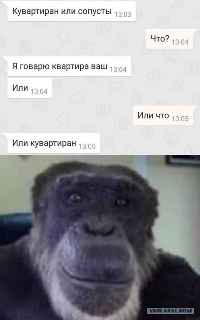 Будни русского риелтора
