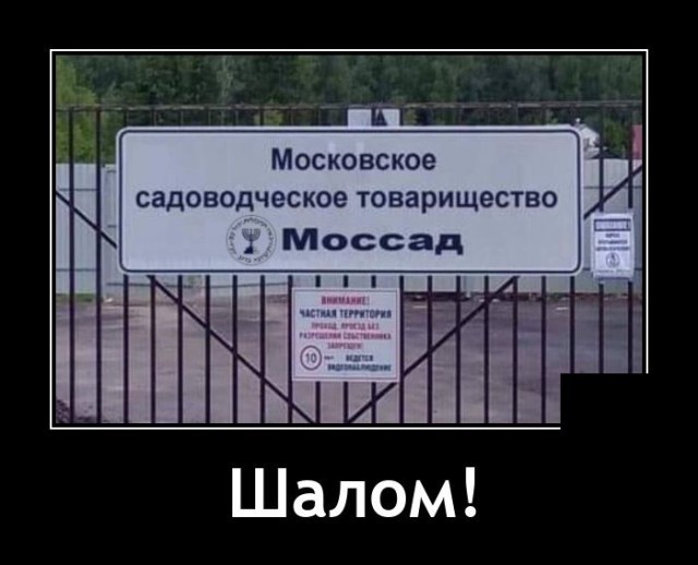 Подборка картинок с надписями 23.06.22