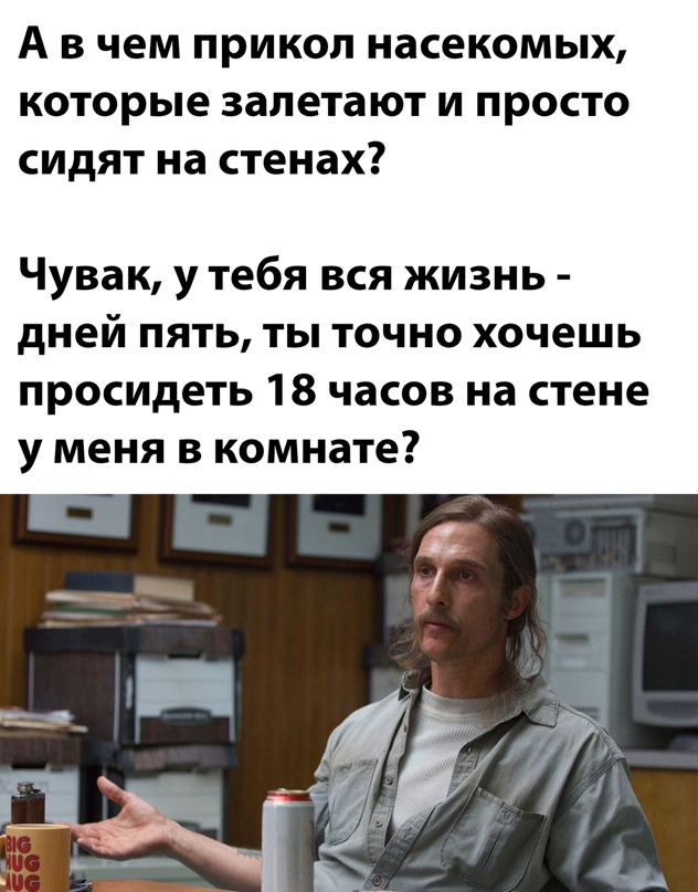 Весёлый полтишок 04.07.22
