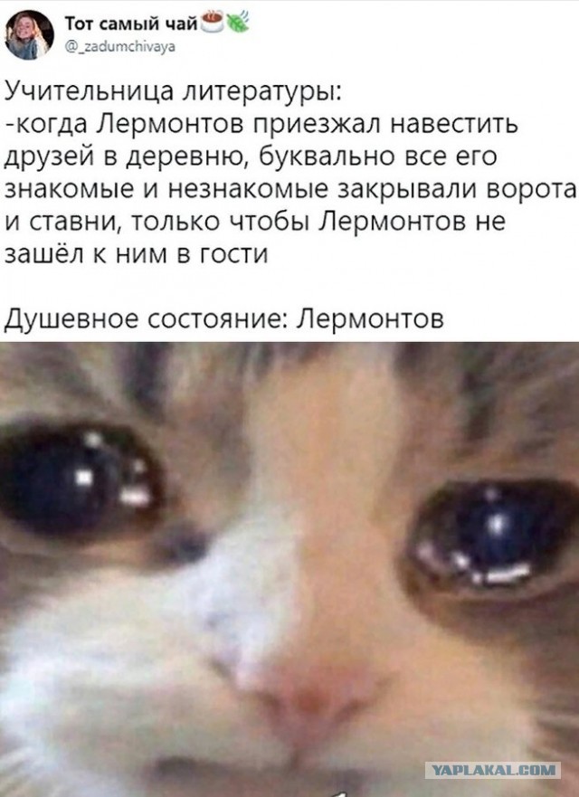 Пятница. Вечер. Картинки всякие #12